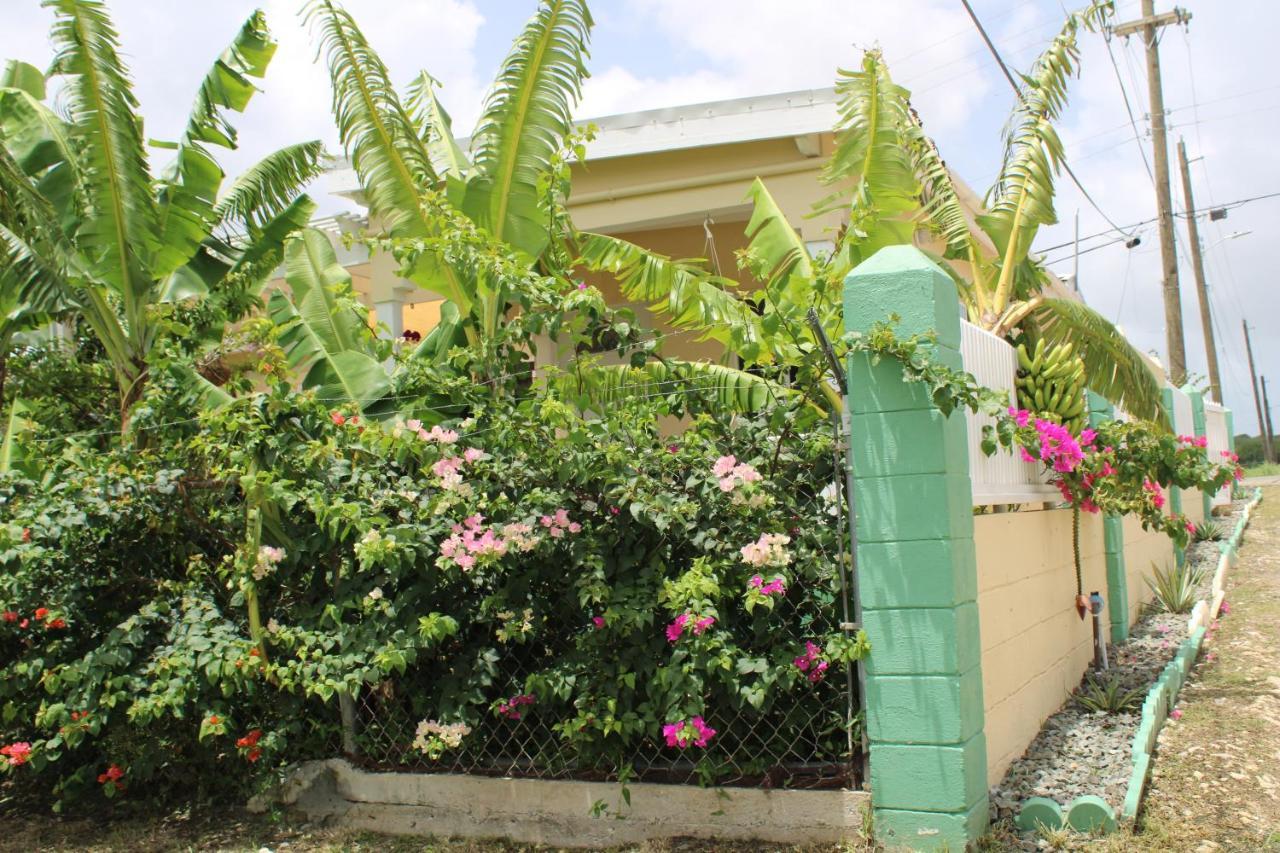 Tropical Garden Cottage Antigua St. John's Exterior foto