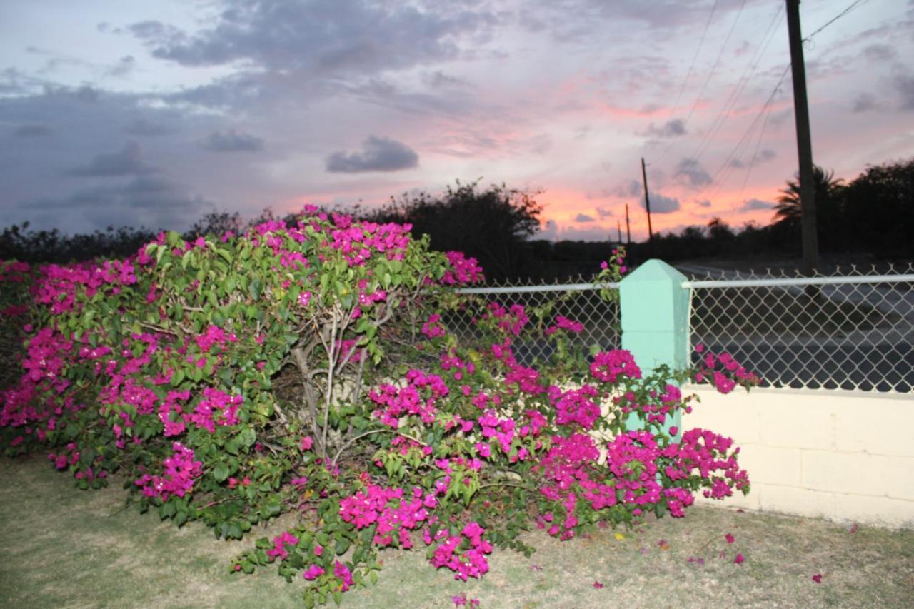 Tropical Garden Cottage Antigua St. John's Exterior foto