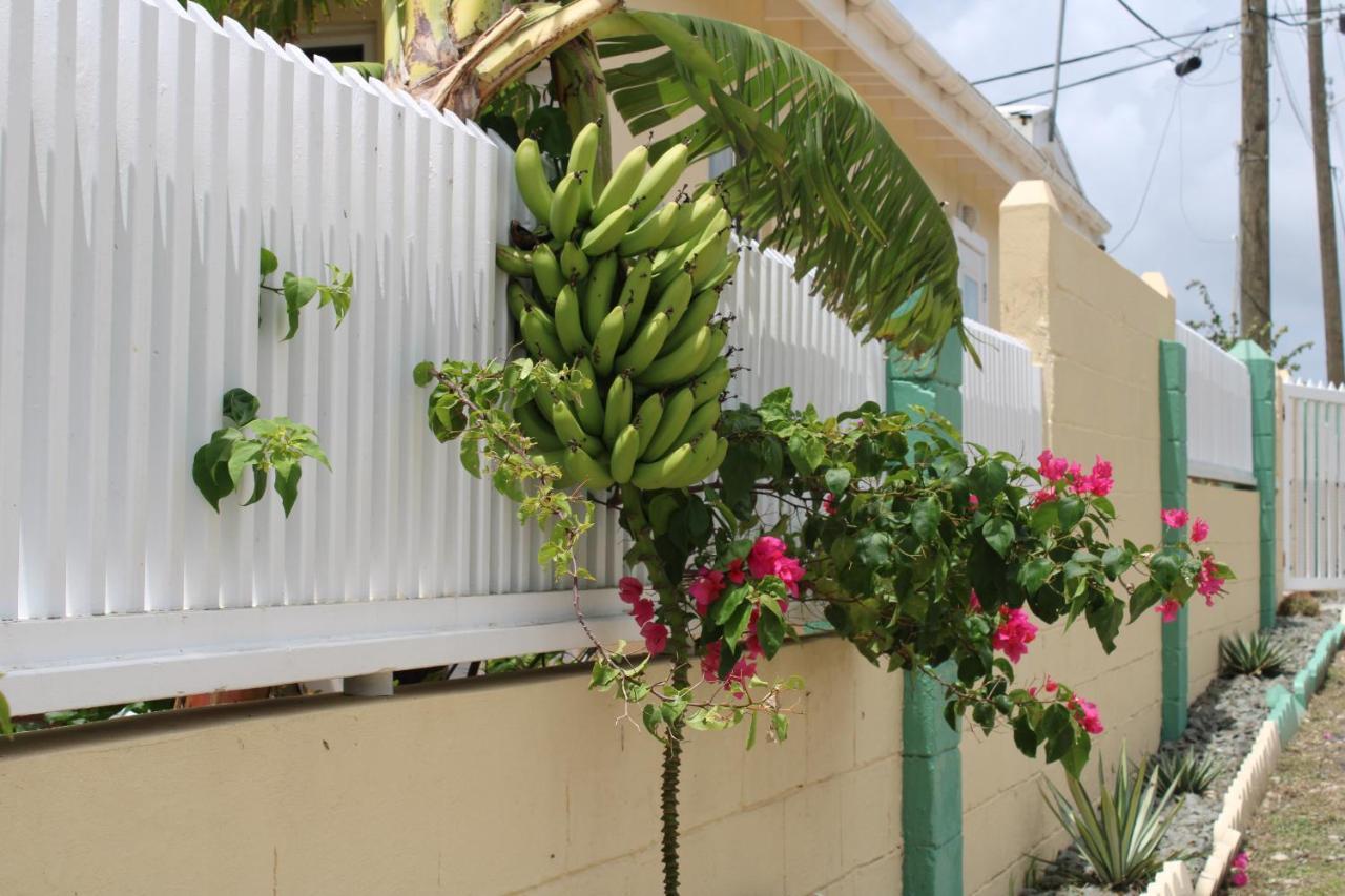 Tropical Garden Cottage Antigua St. John's Exterior foto