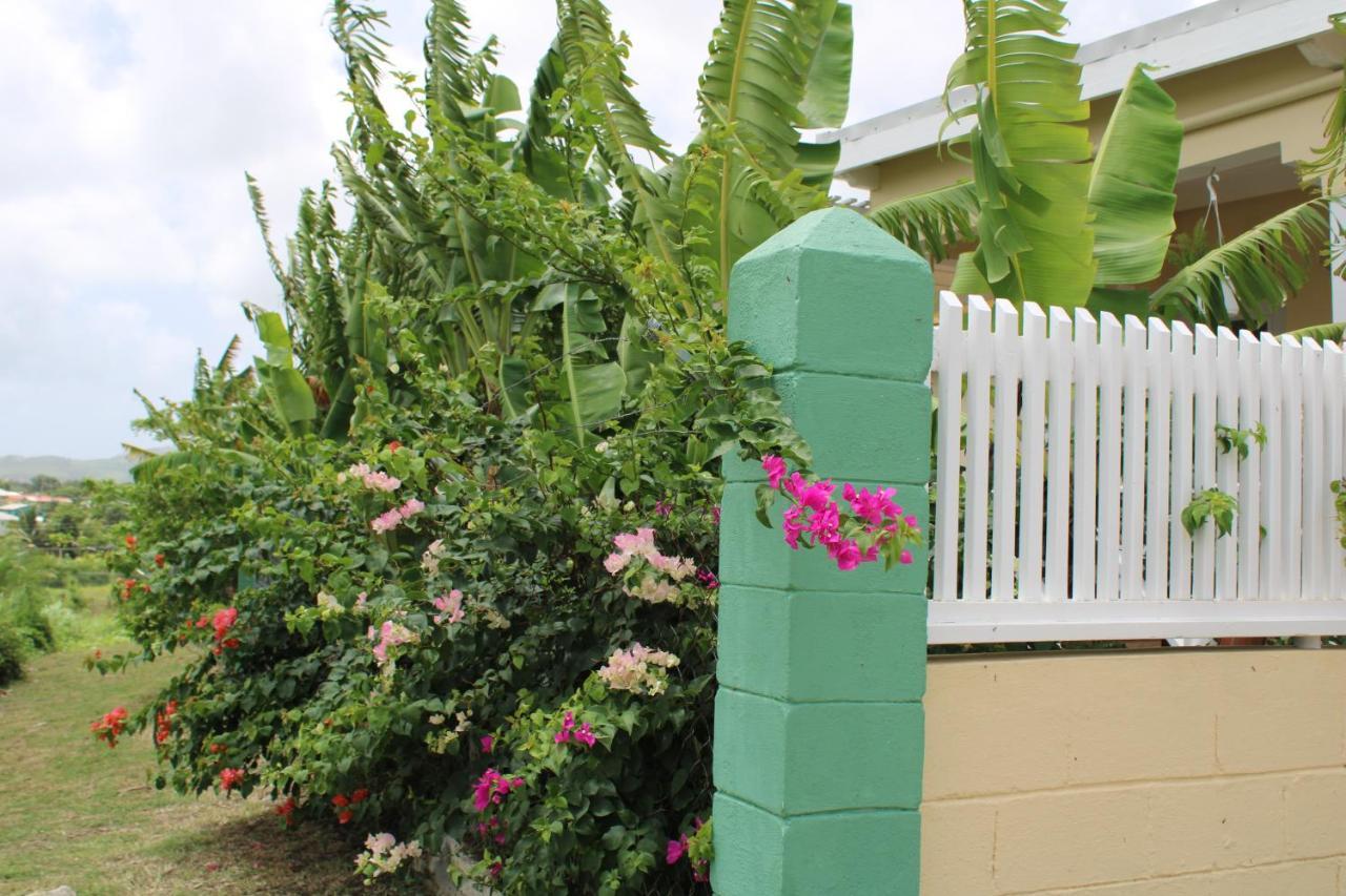 Tropical Garden Cottage Antigua St. John's Exterior foto