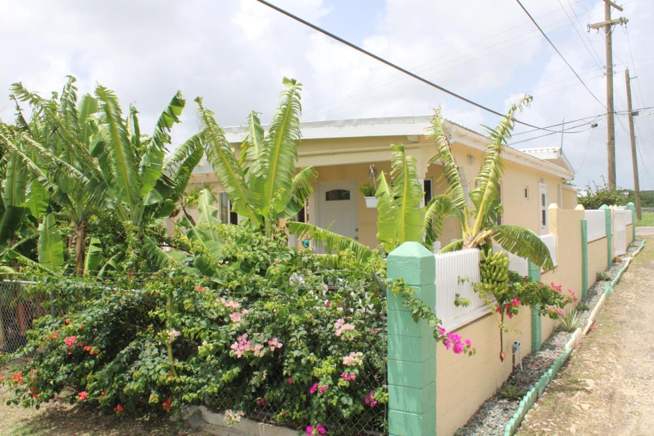 Tropical Garden Cottage Antigua St. John's Exterior foto